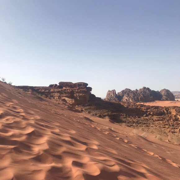 Meet your Posher, Julie - Picture 1 of 1